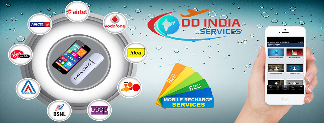 DD India Services