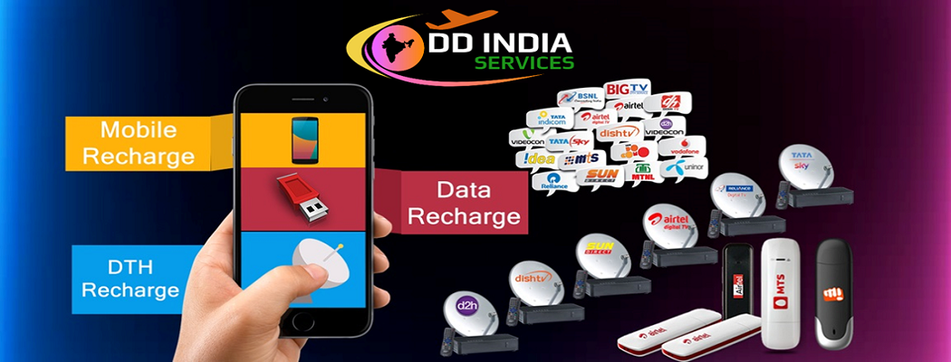 DD India Services